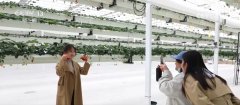从保守粮食做物到特色经济做物 聪慧农业