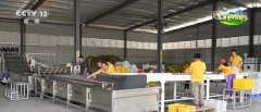 聪慧农业撑起农户“荷包子” 农产物实现