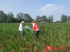 开辟区关王庙乡：抗旱保秋促丰收